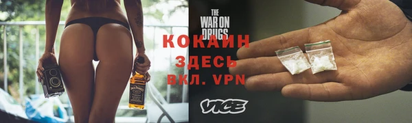 дживик Дмитров