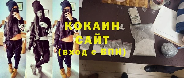 винт Дмитриев