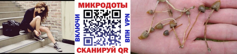 Галлюциногенные грибы Cubensis  Пласт 